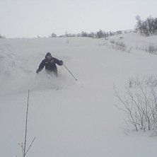 H&auml;rlig puderfrossa. Foto: Gustaf Ekroth. &Aring;kare: Christer Wermeling.