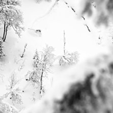 Jag och Linus drog till Duved f&ouml;r att hitta lite . Foto: Niclas Magnusson. &Aring;kare: Linus Zetterlund.