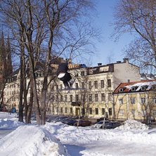 JAg hopapr lite. Foto: Martin Gustafsson. &Aring;kare: Emil Johansson.