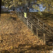 Oskar k&ouml;r hela r&auml;cket bland h&ouml;stl&ouml;v och fin fi. Foto: Jesper Molin. &Aring;kare: Oscar Harlaut.