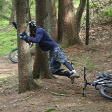 s&aring; kan de g&aring; n&auml;r man f&ouml;rs&ouml;ker skalla ett tr&auml;. Foto: jocke. &Aring;kare: me.