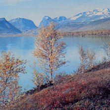 Foto: Erik Sandstr&ouml;m.