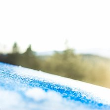 Taget i v&auml;ntan p&aring; &aring;karna. 
Landningen fr&aring;n an. Foto: Freja Zeidlitz.