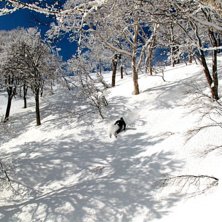 Ett &aring;k fr&aring;n baksidan som slutar i en dal utan li. Foto: Andrew Taylor. &Aring;kare: Sebastian Ailert.