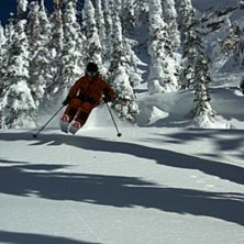 Foto: johan Carlson. &Aring;kare: petter Carlson.