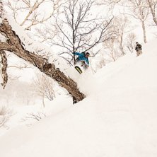 Foto: Johan Karlsson. &Aring;kare: Tomas Halvarsson.