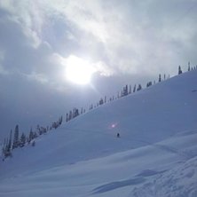 Foto: Andy Hall. &Aring;kare: William Kristiansson.