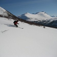 Foto: Per Fredriksson. &Aring;kare: Alexandra L&ouml;fvander.