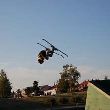 Lincon me japangrab. Foto: Sofia Zackrisson. &Aring;kare: Isabel Mattsson.