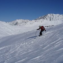 Vi hittade trots allt ett f&auml;lt med lite or&ouml;rd ka. Foto: Stefan Vikberg. &Aring;kare: Karin Ekstr&ouml;m.