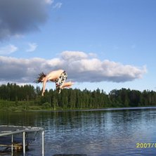 cork9 ut i vattnet. Foto:  kitok,franklin eller stokke. &Aring;kare: jagg.