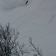 Foto: Felix Grunert. &Aring;kare: Rikard Lindblad.