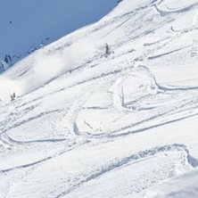 En stoppsladd version Kanada.. Foto: Per Nyberg. &Aring;kare: Emil Rydell.