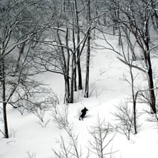 En annan variant p&aring; Ozawa d&auml;r man &aring;ker ner i de. Foto: Andrew Taylor. &Aring;kare: Sebastian Ailert.