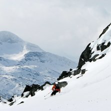 Helena fick l&aring;na kameran och f&aring;ngade den h&auml;r sv. Foto: Helena Ljungman. &Aring;kare: Calle Bjernekull.