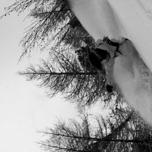 &Aring;kare: Jerry Bengtsson.