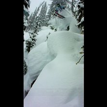 &Aring;kare: Alfred Westh.