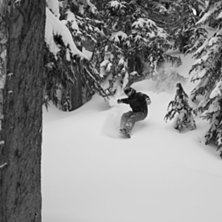 Khyberskogen &auml;r o&auml;ndlig och helt fantastisk. Foto: Jens Andersson. &Aring;kare: Emil Rydell.