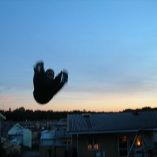 &Aring;kare: Adrian Gratschew.