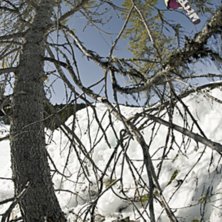 Foto: Daniel R&ouml;nnb&auml;ck.