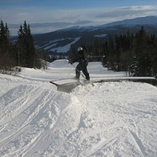 Foto: Philip Schlyter. &Aring;kare: Adam Schlyter.