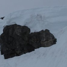Klumpen skall tas i flatljus!. Foto: Fredrik Sidev&auml;rn. &Aring;kare: Dr.Lundborg.