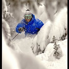 en magisk dag i mitten av april.... Foto: Rob Hamilton-Smith. &Aring;kare: sunken jr.