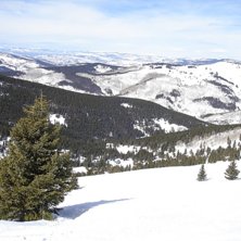 Foto: Magnus Larsson.