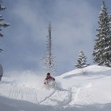 midjedjupt i skogen. finemang.. Foto: David Lagerblad. &Aring;kare: Niklas Carelius.
