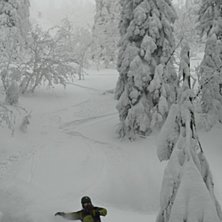 Foto: Tomek Debiec. &Aring;kare: Maciek Leszczynski.
