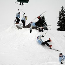 Lion guide p&aring; rail i lech...... Foto: Alexb. &Aring;kare: gruff.