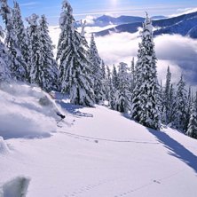 Foto: Erik Lidas Lidstr&ouml;m. &Aring;kare: Asbj&ouml;rn Hell&aring;s.