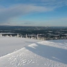 Supert
Nysn&oslash; og nypreppet.
Supre forhold i kveld.
