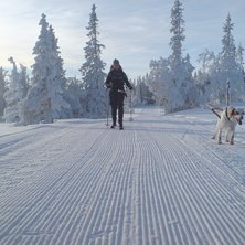 Manchester p&aring; platten. Foto: Robert Bahrd.