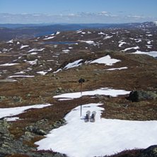 En sk&ouml;n sommardag med ett gott v&aring;rsn&ouml;&aring;k nedf&ouml;. Foto: Martin Ericson.