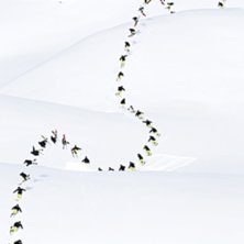 Foto: Dan Carr. &Aring;kare: Sammy Carlson.