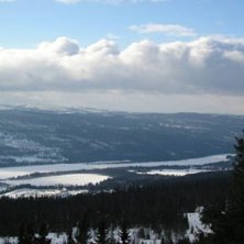 Foto: Johanna M&aring;rtensson. &Aring;kare: ingen vad jag ser.