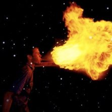 Foto: Matz-Bj&ouml;rn S&auml;tterstr&ouml;m. &Aring;kare: Tb Nordahl.