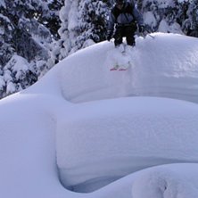 Foto: Wenis eller n&aring;n. &Aring;kare: Jerker apan.