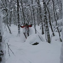 Foto: tobias kajbring. &Aring;kare: Mikael kajbring.