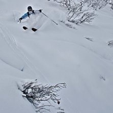 Foto: Felix Grunert. &Aring;kare: Rikard Lindblad.