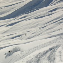 Foto: Tjakkie. &Aring;kare: Johan Hilmersson.