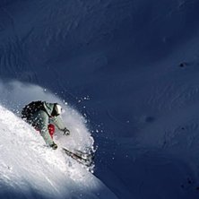 Sista solstr&aring;larna vi kunde hitta blev till en ga. Foto: Martin S&ouml;derqvist. &Aring;kare: Reine Barkered.