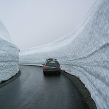 Foto: Johan Sk&ouml;ld. &Aring;kare: Dieseldoris.