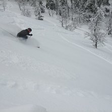 Foto: Trybisco. &Aring;kare: J Klingmark.