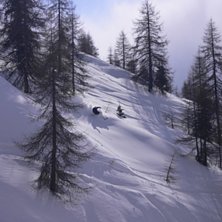 Mycket sn&ouml; i skogen.... Foto: Anders Rotstein. &Aring;kare: Peter Kaminski.