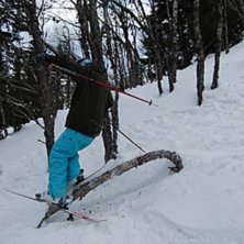lite jibb i skogen. Foto: emil gustavsson. &Aring;kare: anton hartell.