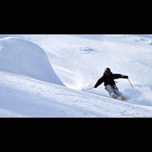 Foto: Alexander Dixner. &Aring;kare: Stefan Kits.