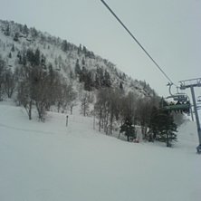 Foto: Angelica Eriksson.