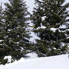 Foto: Antti Suhonen. &Aring;kare: Ted Wennstr&ouml;m.